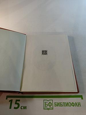 Сад весь в цвету