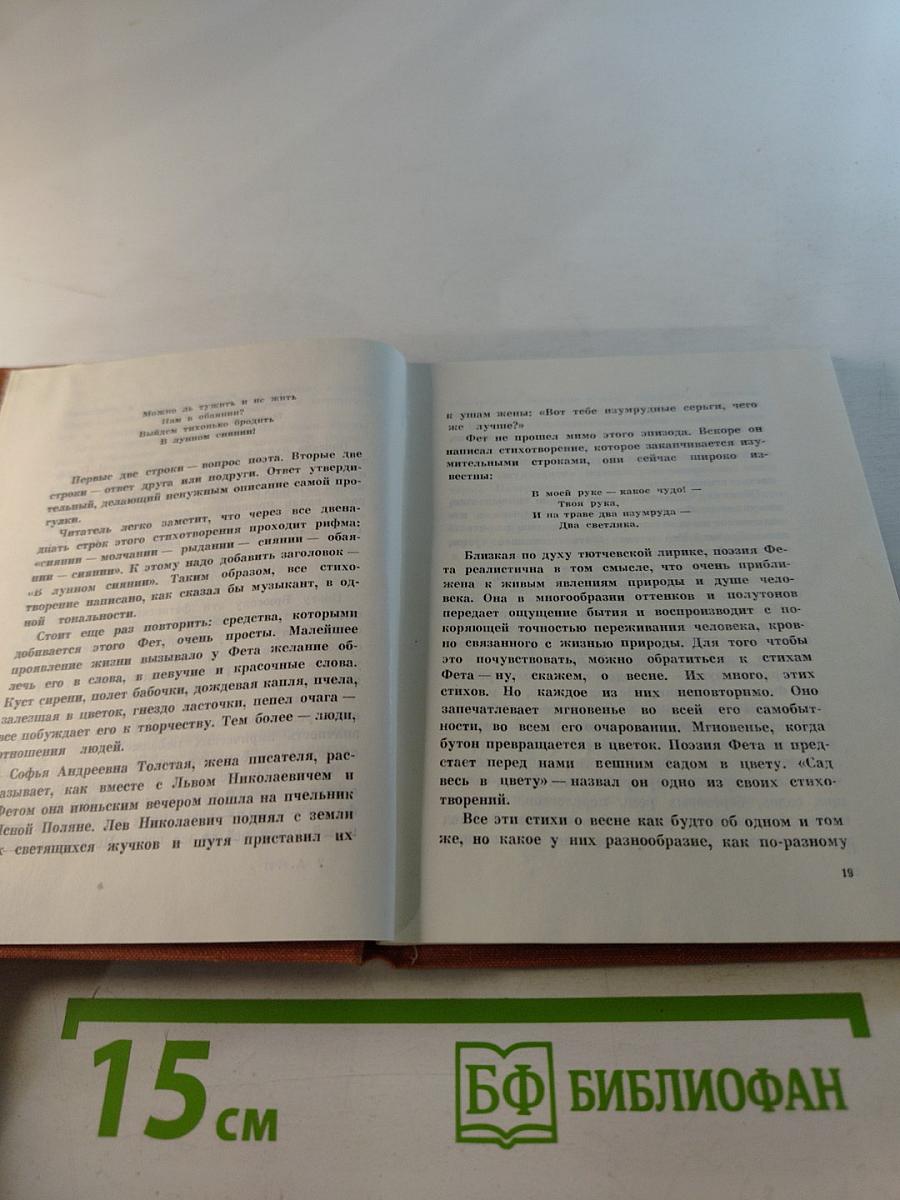 Сад весь в цвету