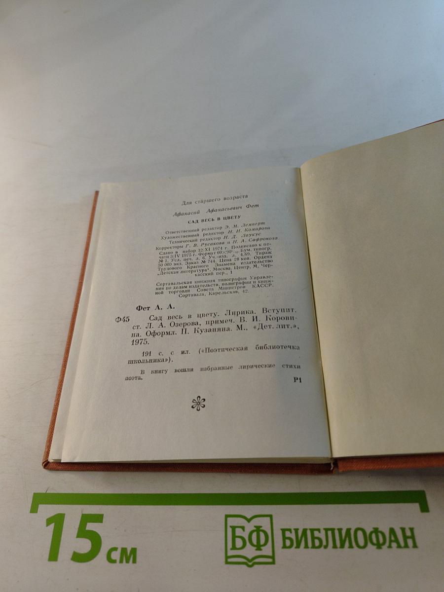 Сад весь в цвету