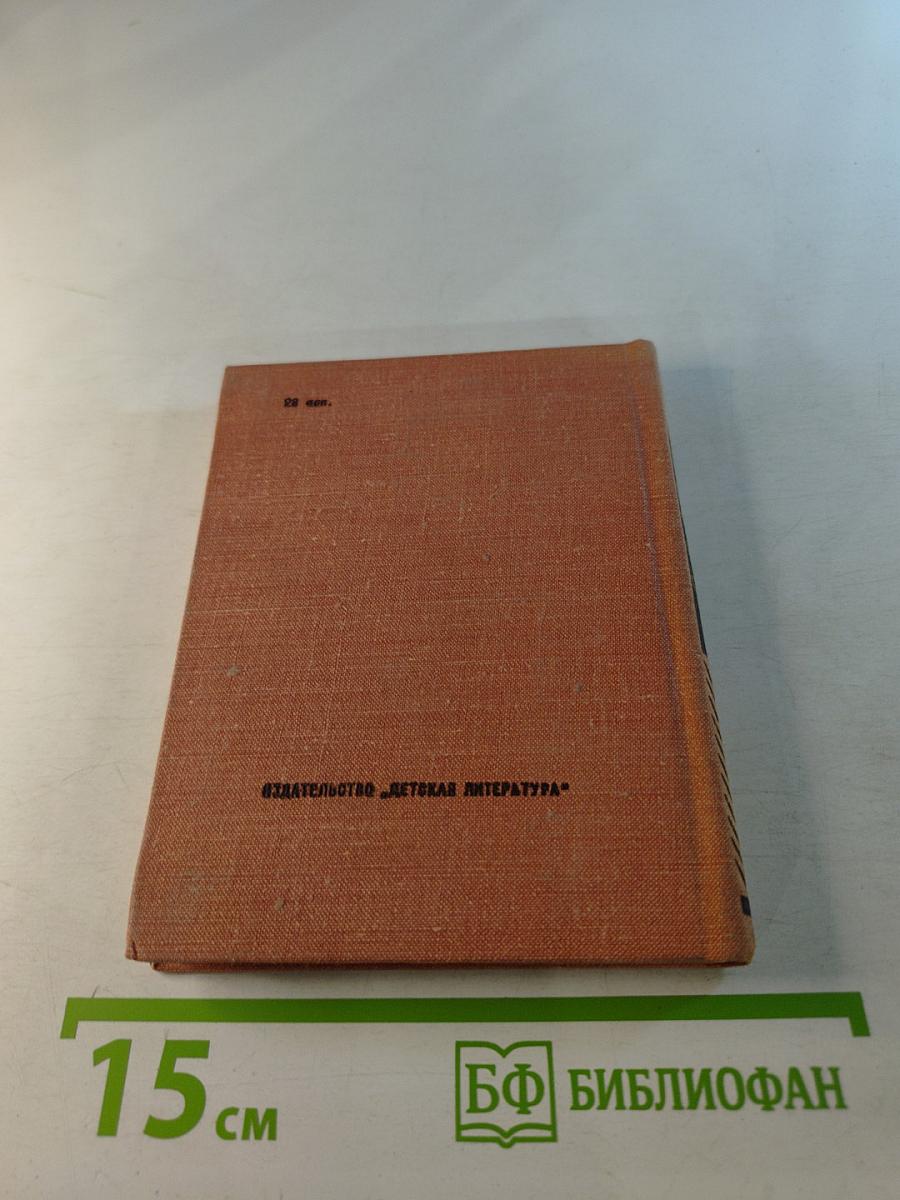 Сад весь в цвету