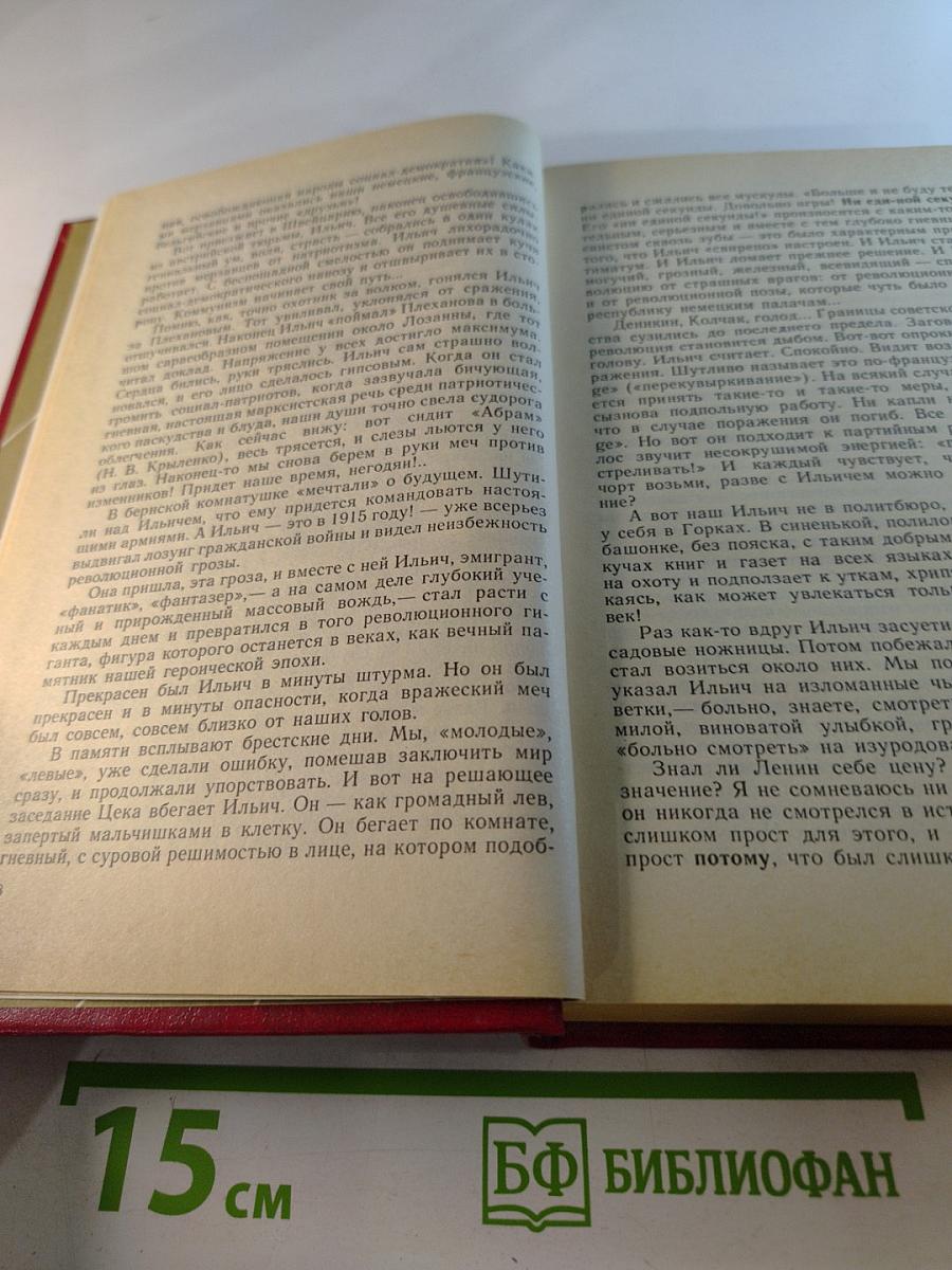 Личное мнение. Выпуск второй. Сборник писательской публицистики