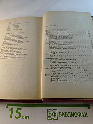 Личное мнение. Выпуск второй. Сборник писательской публицистики