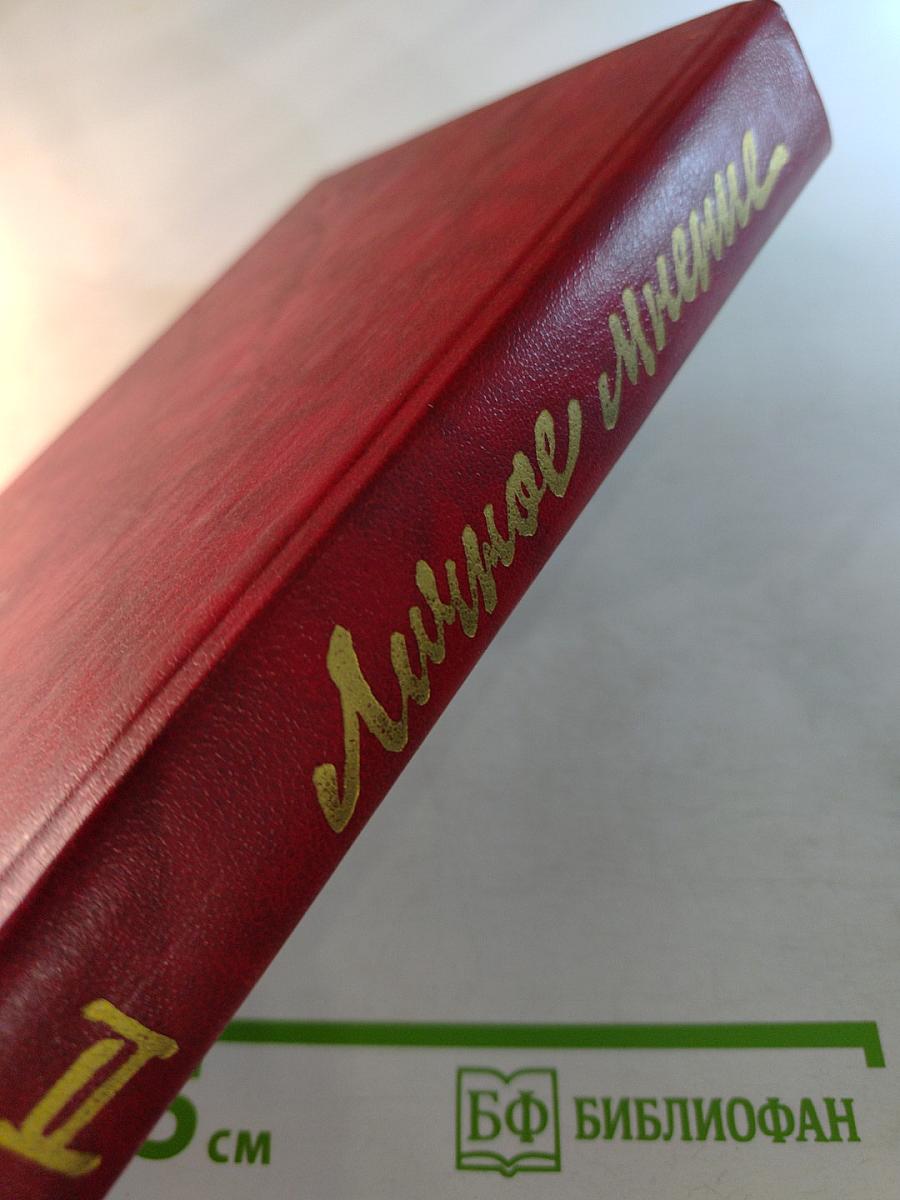 Личное мнение. Выпуск второй. Сборник писательской публицистики