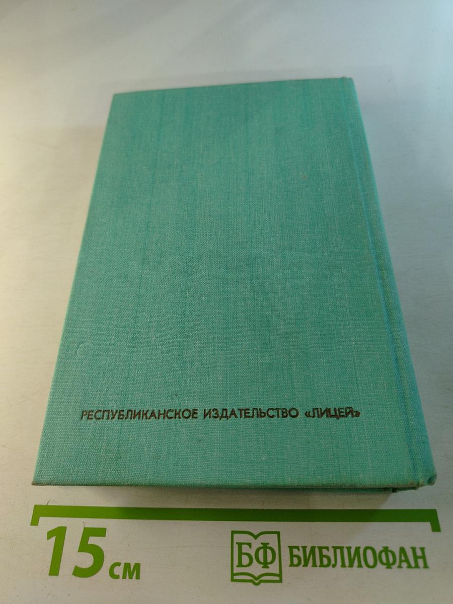 Виннету на диком западе