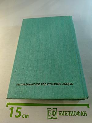 Виннету на диком западе