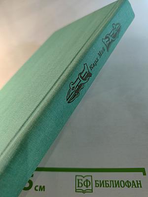 Виннету на диком западе