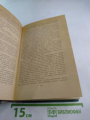 Двадцать тысяч лье под водой