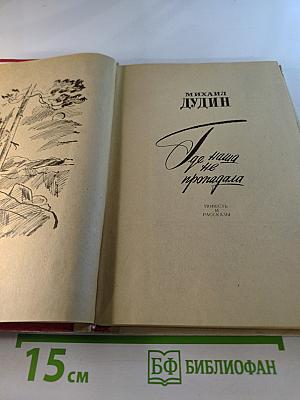 Где наша не пропадала