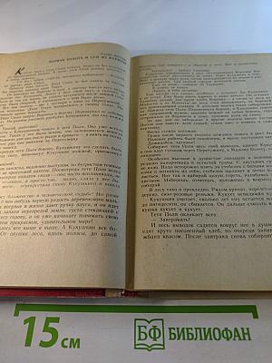 Где наша не пропадала