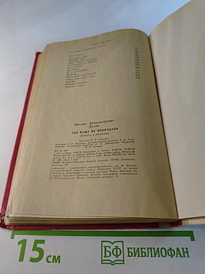 Где наша не пропадала