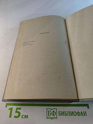 Учитель фехтования, Мученики, Черный тюльпан