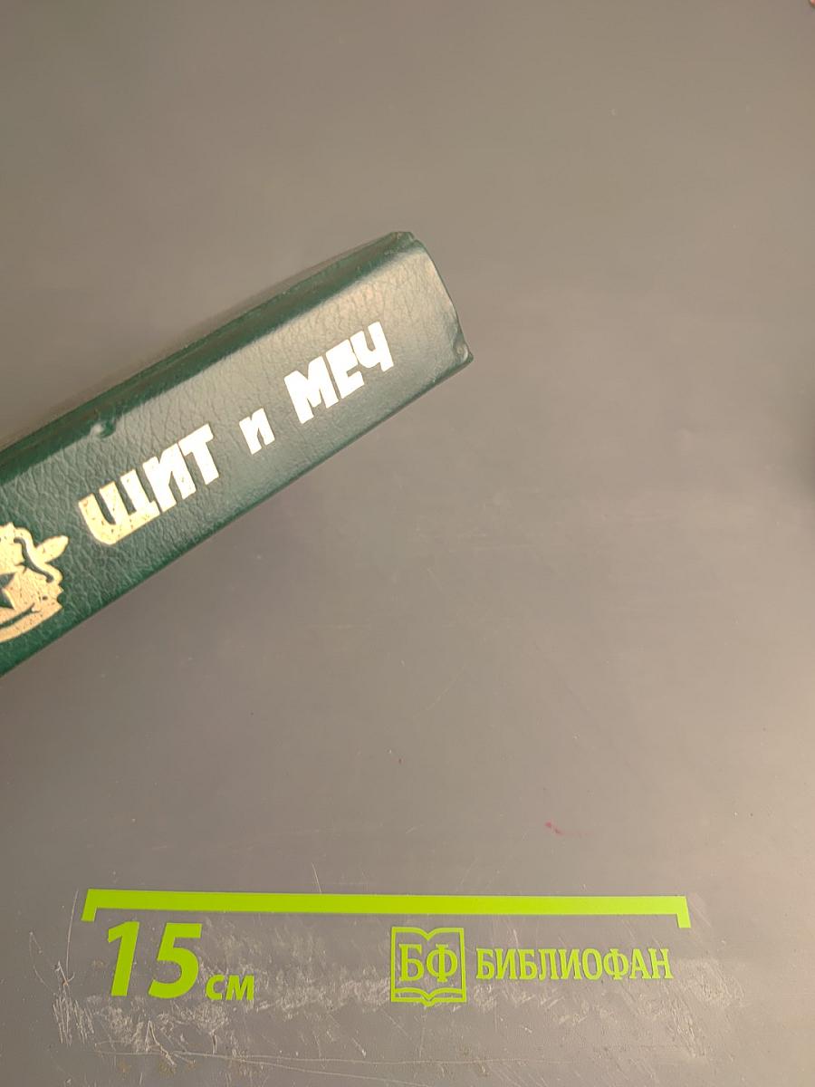 Щит и меч. Книга 1