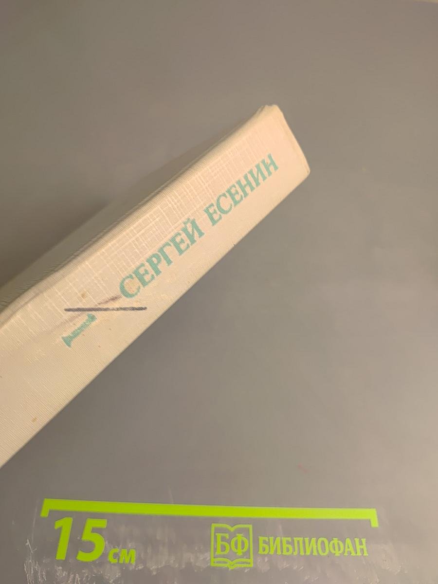 Сергей Есенин. Собрание сочинений в двух томах. Том 1. Стихотворения, поэмы