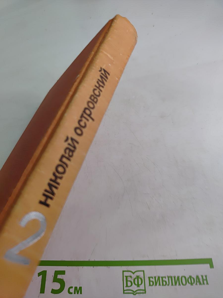 Николай Островский. Рожденные бурей. Том 2. Роман, статьи, речи, беседы