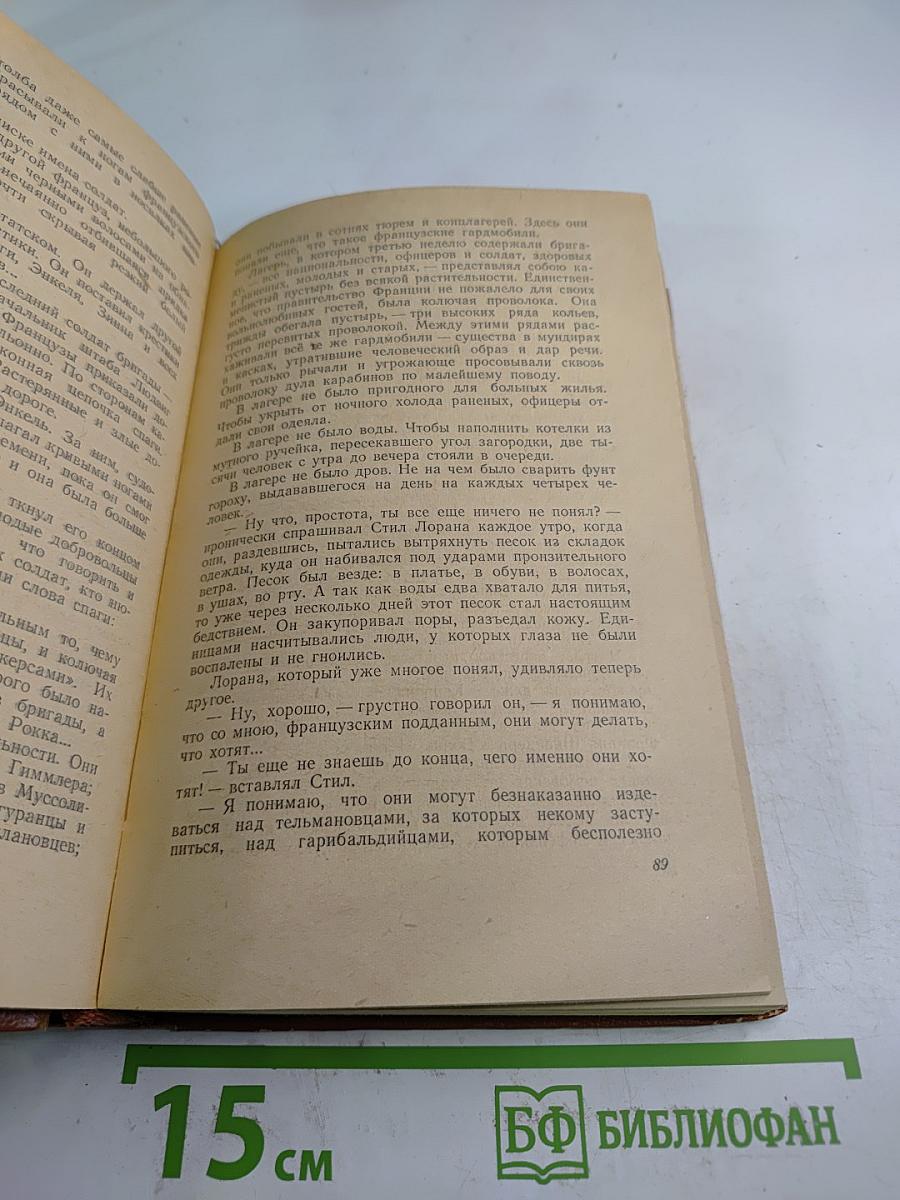 Поджигатели. Книга вторая