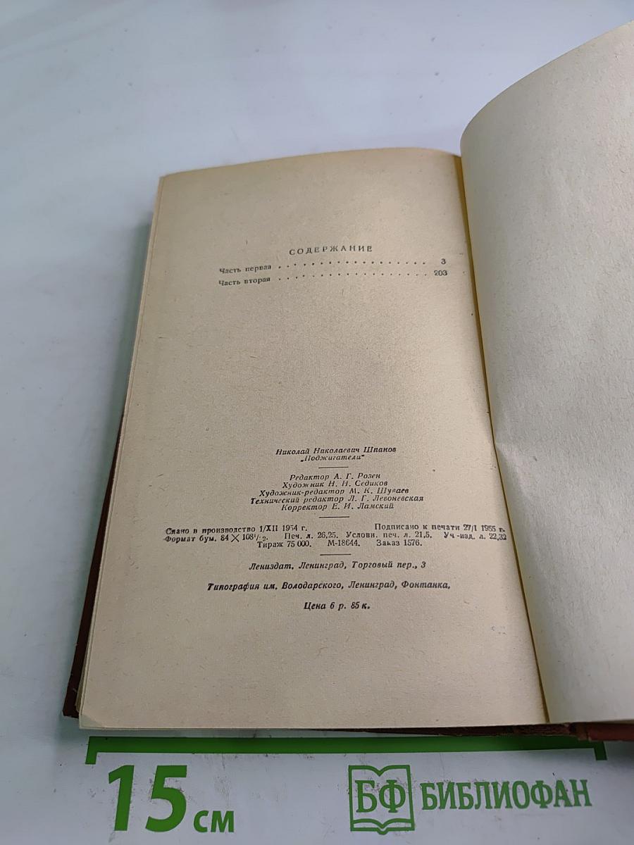 Поджигатели. Книга вторая