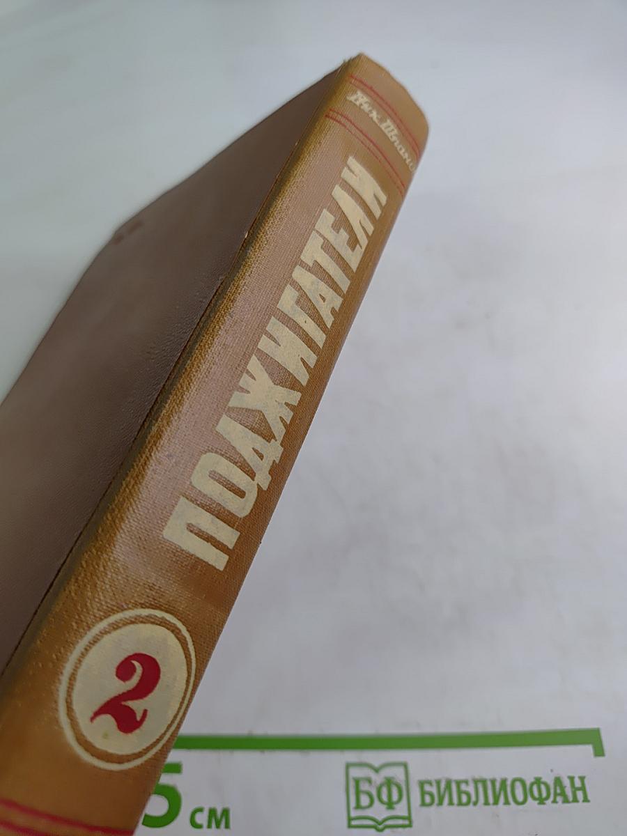 Поджигатели. Книга вторая