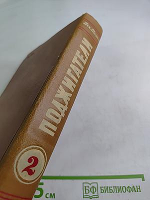 Поджигатели. Книга вторая
