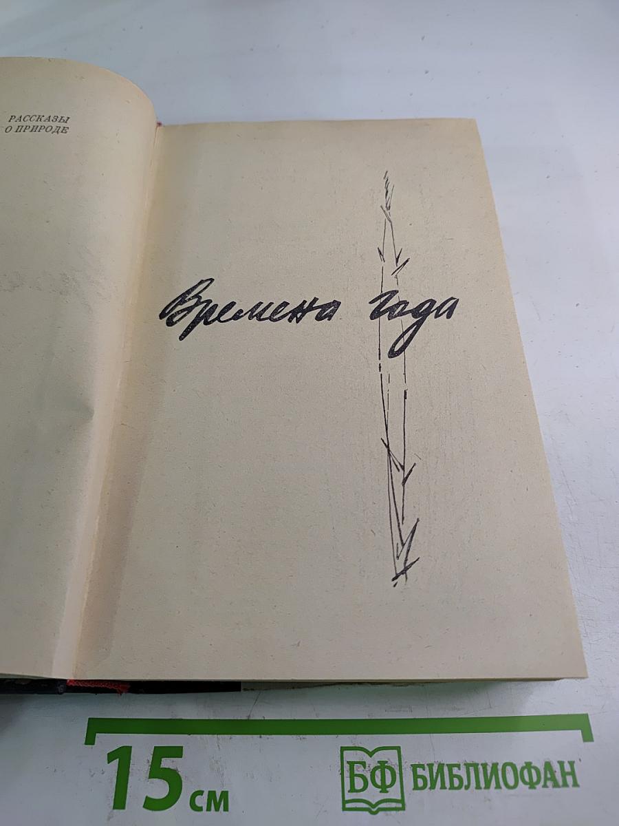 Времена года