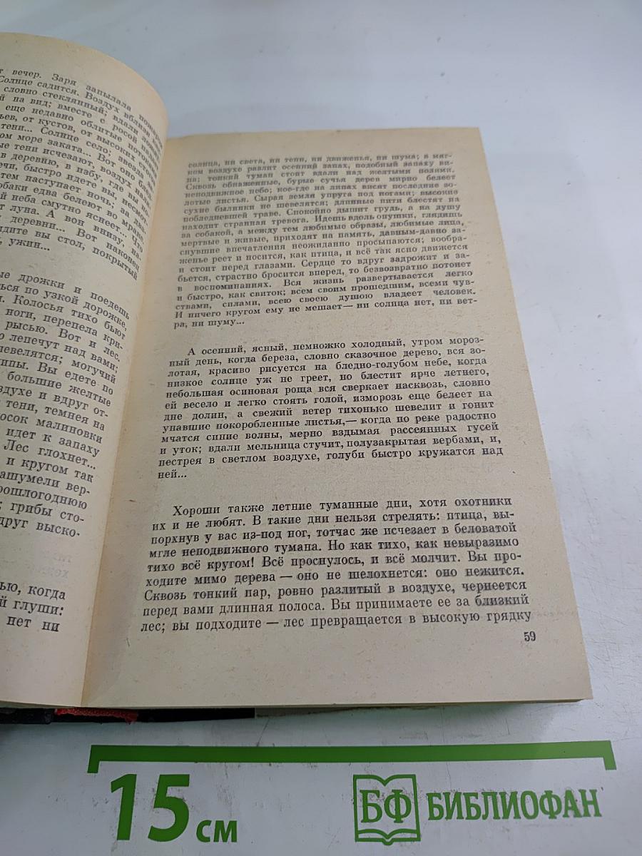 Времена года