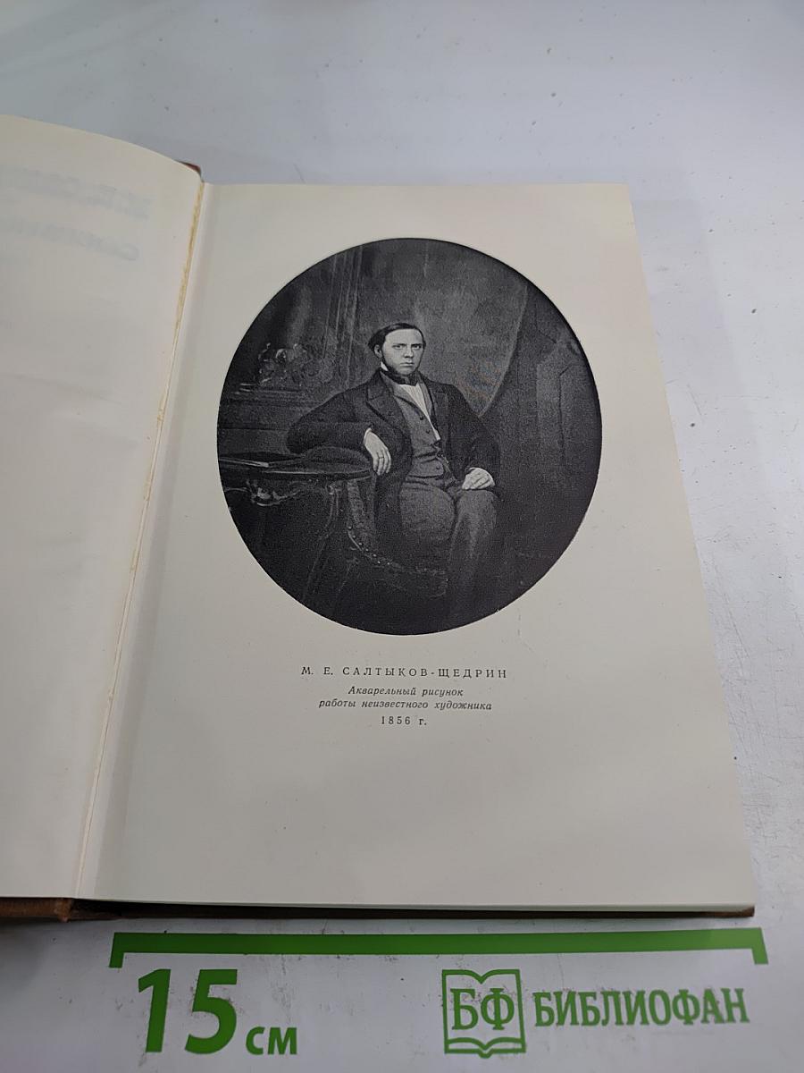 Собрание сочинений. Том второй. Губернские очерки 1856-1857