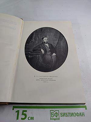 Собрание сочинений. Том второй. Губернские очерки 1856-1857