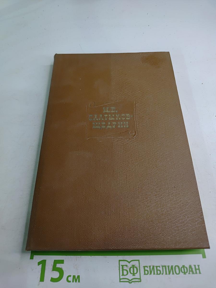 Собрание сочинений. Том девятый. Письма 1876-1881