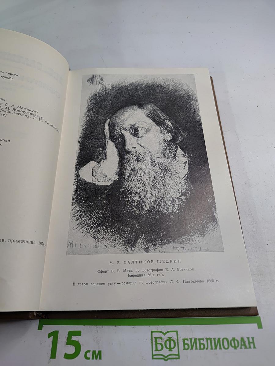 Собрание сочинений. Том девятый. Письма 1876-1881