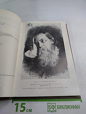 Собрание сочинений. Том девятый. Письма 1876-1881