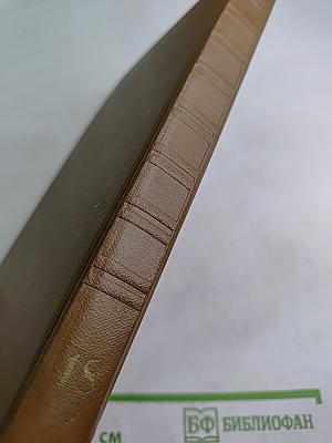 Собрание сочинений. Том восемнадцатый. Книга вторая. Письма 1868-1870