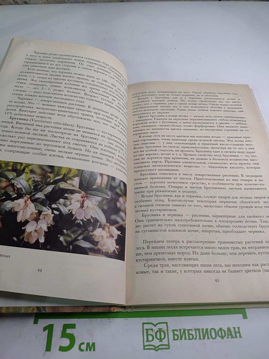 Растительный мир нашей Родины. Книга для учителя