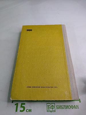 Флаги на башнях