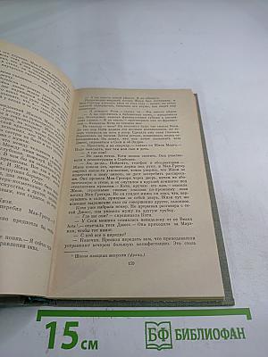 Годы в изгнании. Оружие. Том II