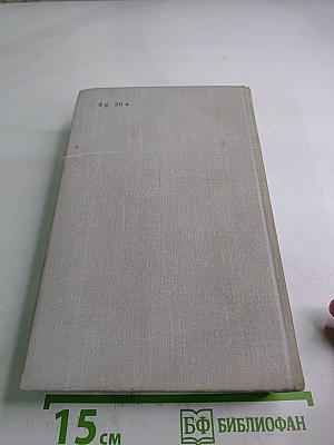 Виконт де Бражелон, или Десять лет спустя. Части 5, 6