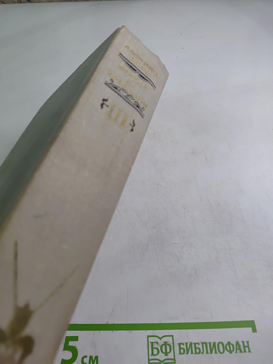 Виконт де Бражелон, или Десять лет спустя. Части 5, 6