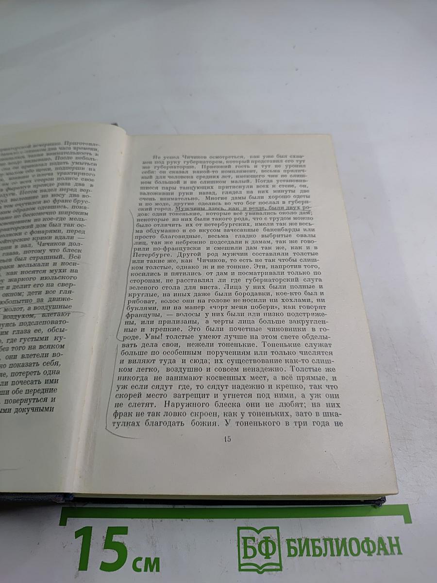 Мертвые души. Том 5