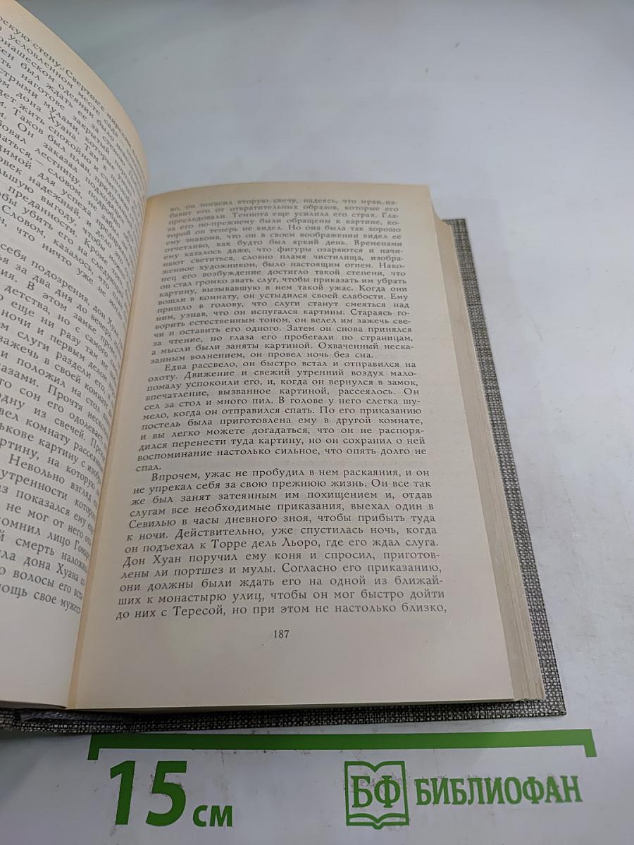 Избранное: Новеллы, Хроника царствования Карла IX