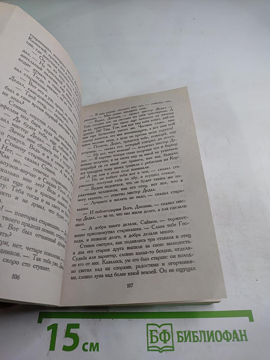 Портрет художника в юности