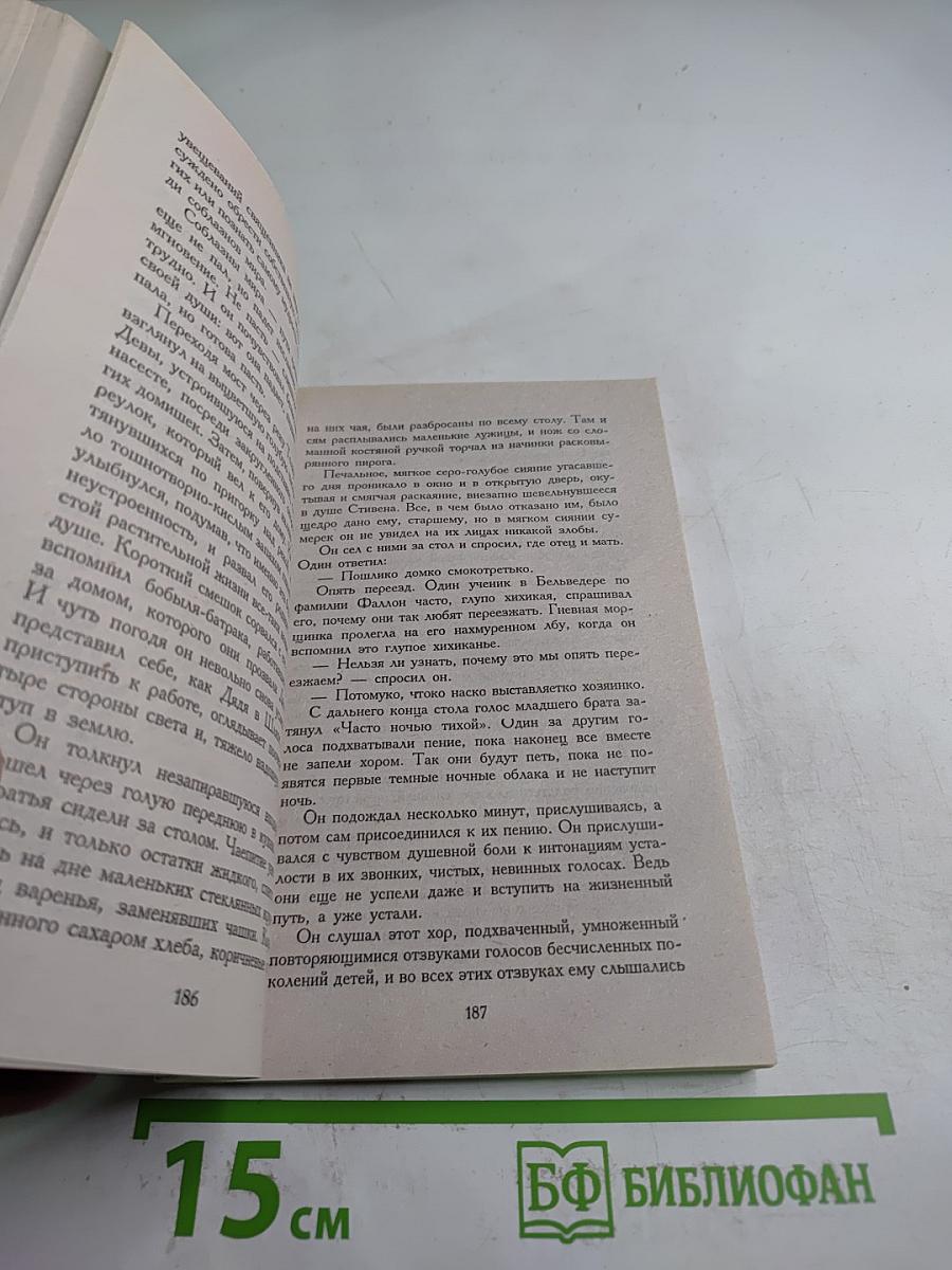 Портрет художника в юности