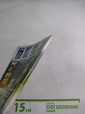 Шунгит – Лечебный минерал