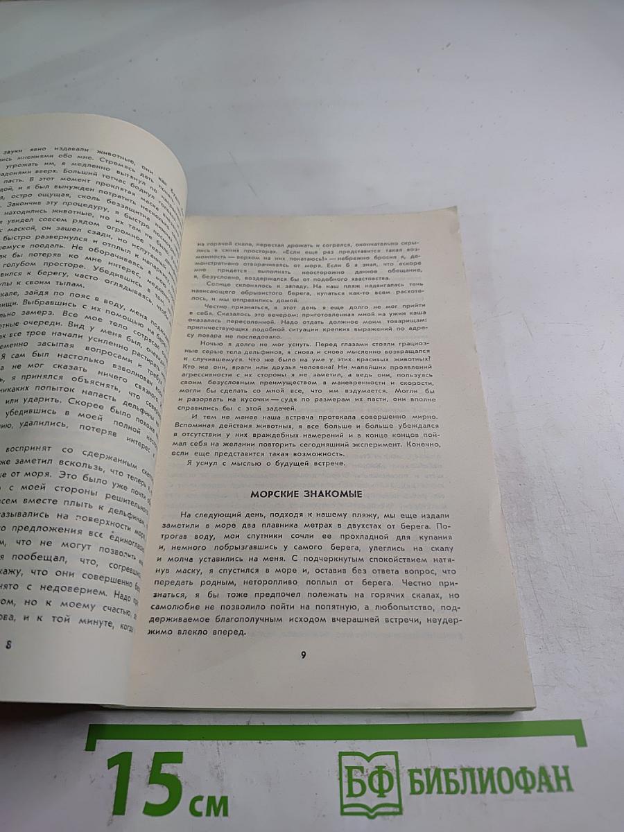 Тише - Дельфины!