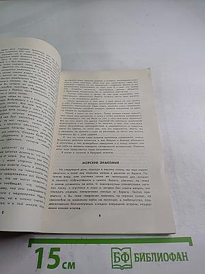 Тише - Дельфины!