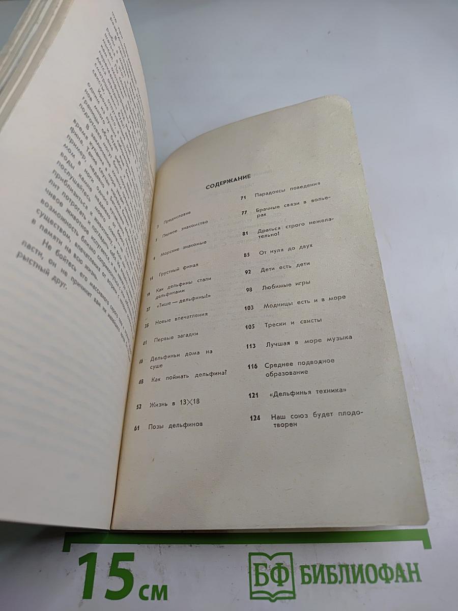 Тише - Дельфины!