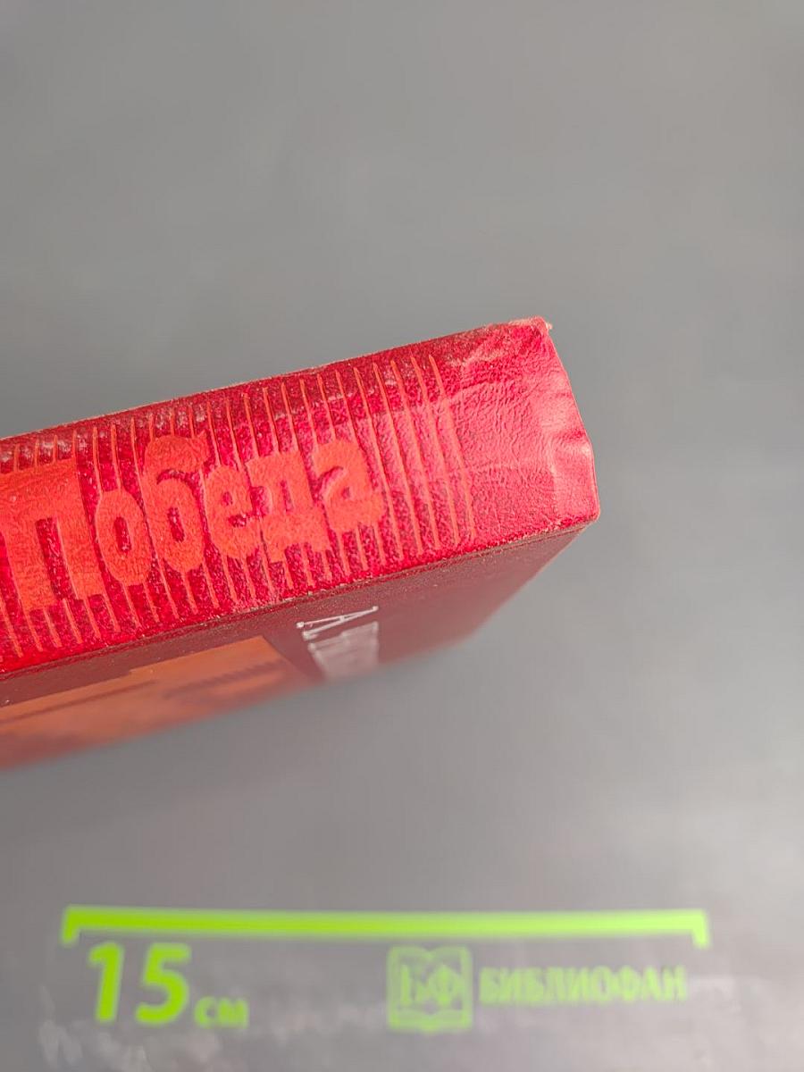 Победа. Книга 3