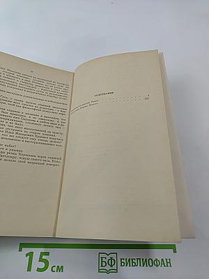 Покушение на миражи. Чистые воды Китежа