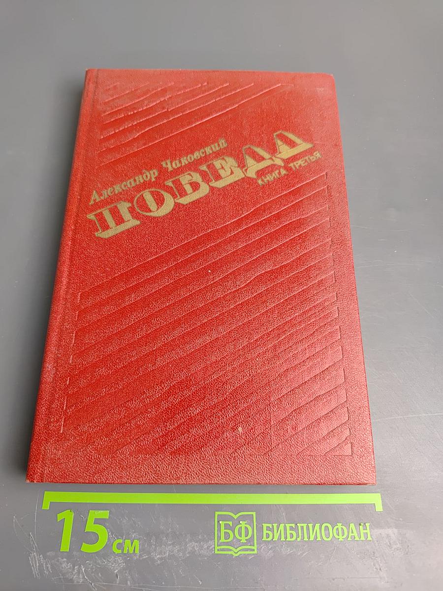 Победа. Книга третья