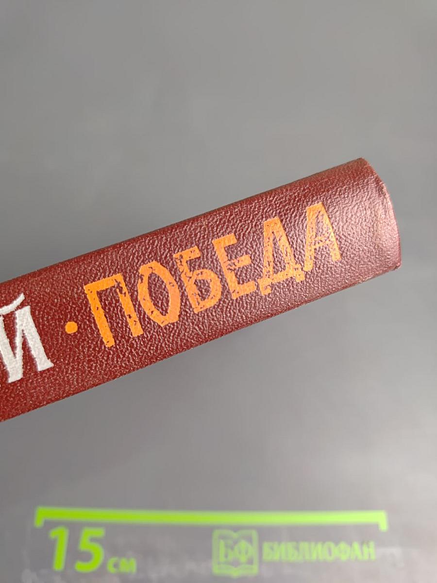 Победа. Книга первая