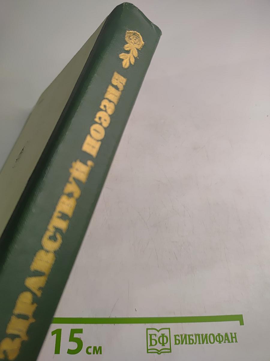 Здравствуй, поэзия