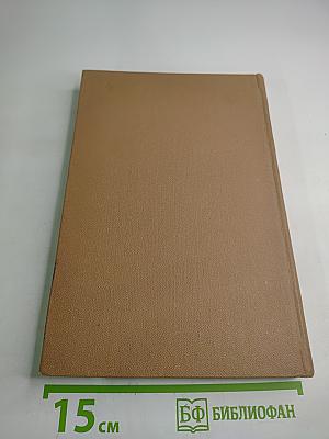 Том 2. Арабские страны