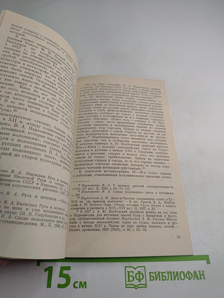 Киевская Русь и кочевники (печенеги, торки, половцы)